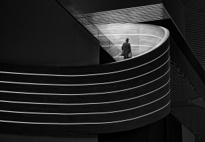 Salon.Photo Silver Medal